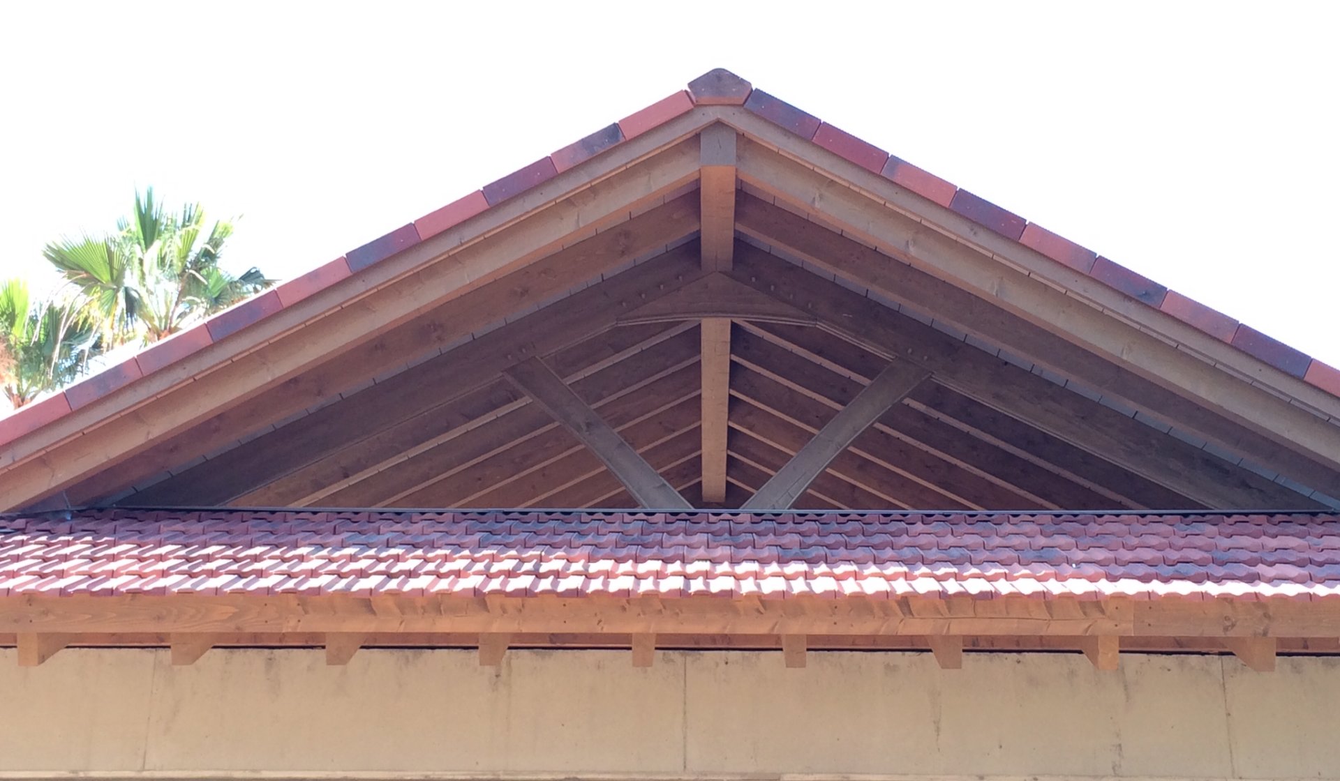 הגג פתוח לחדירת אור טבעי