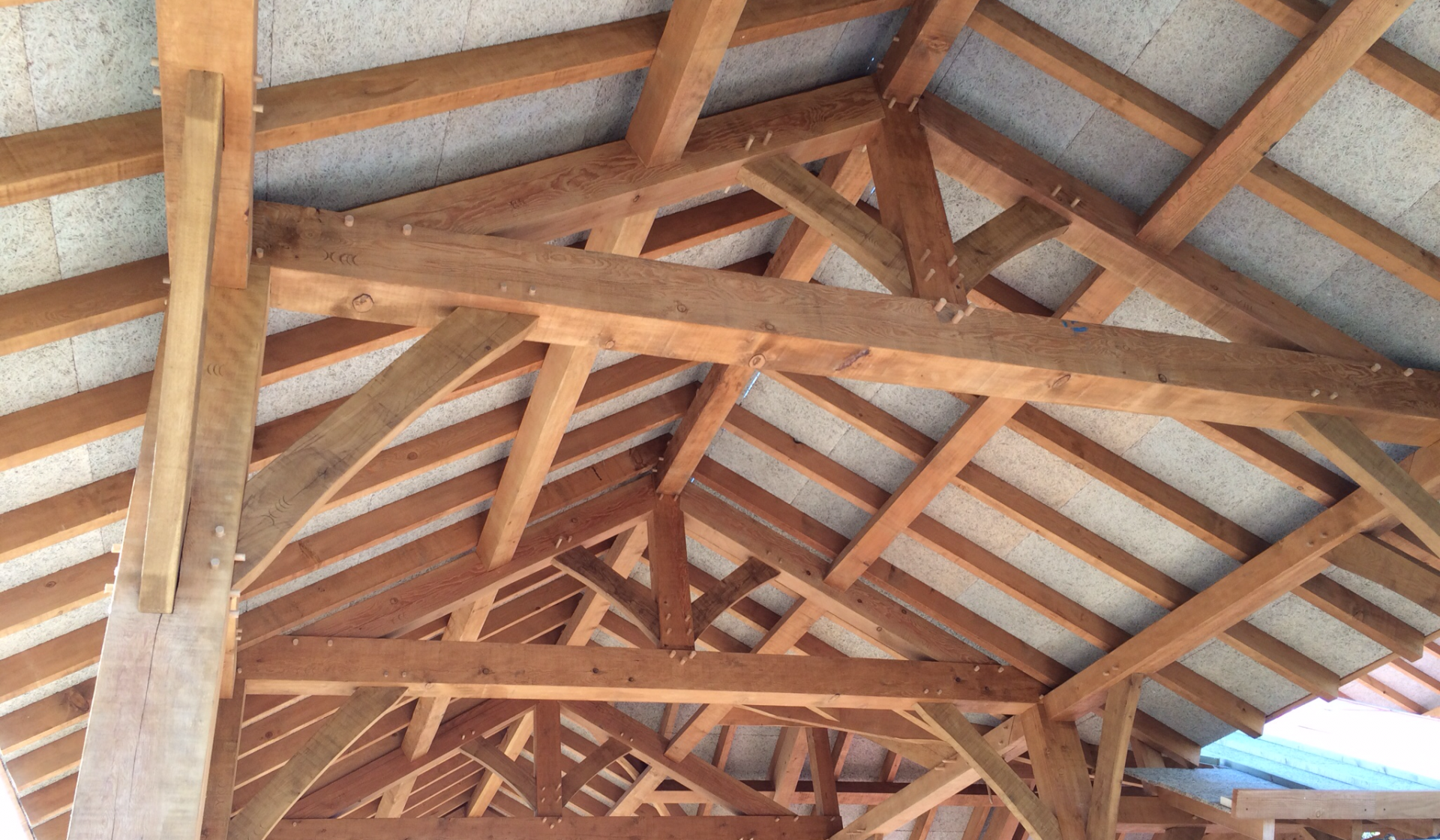 דאגלס פייר במערכת שלד אגדים לבית