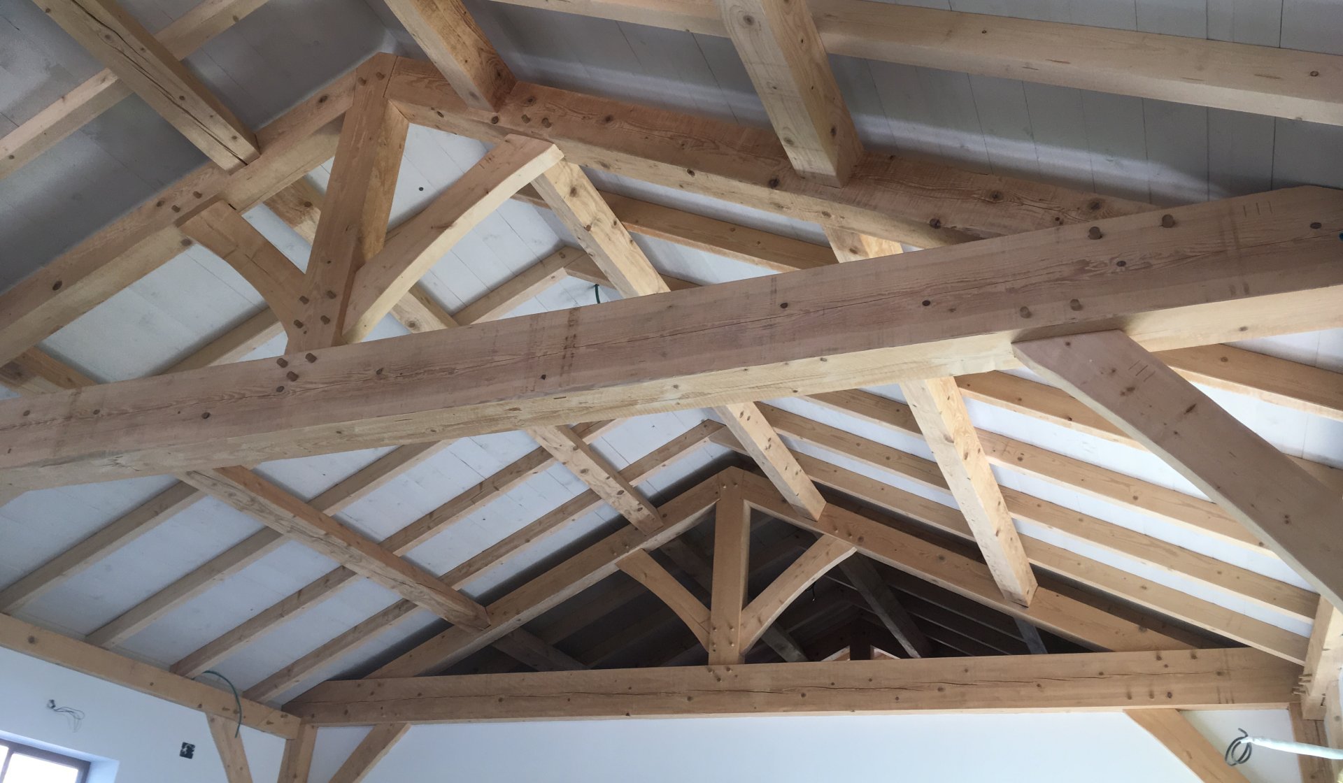 גלריה עץ בין האגדים